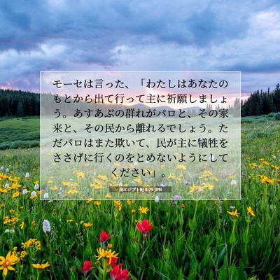 Picture 07 - 出エジプト記 8:29 JPN - モーセは言った、「わたしはあなた - Bible Verse Picture