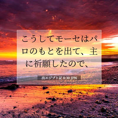 Picture 07 - 出エジプト記 8:30 JPN - こうしてモーセはパロのもとを出て - Bible Verse Picture