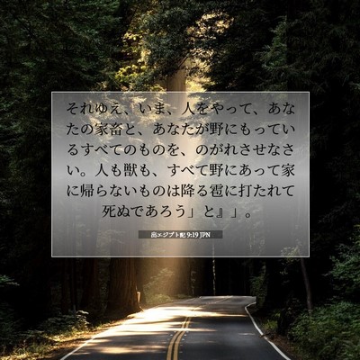 Picture 07 - 出エジプト記 9:19 JPN - それゆえ、いま、人をやって、あな - Bible Verse Picture