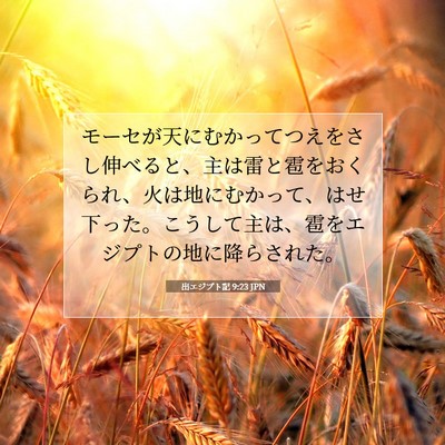 Picture 07 - 出エジプト記 9:23 JPN - モーセが天にむかってつえをさし伸 - Bible Verse Picture