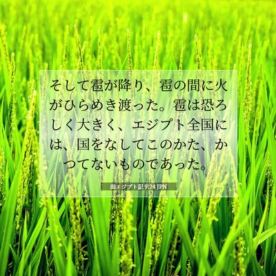 Picture 07 - 出エジプト記 9:24 JPN - そして雹が降り、雹の間に火がひら - Bible Verse Picture