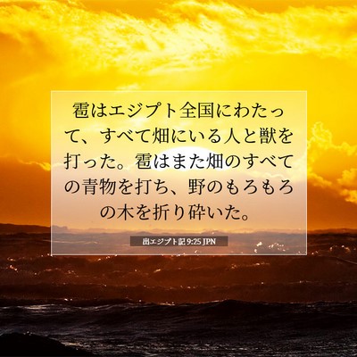 Picture 07 - 出エジプト記 9:25 JPN - 雹はエジプト全国にわたって、すべ - Bible Verse Picture