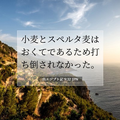 Picture 07 - 出エジプト記 9:32 JPN - 小麦とスペルタ麦はおくてであるた - Bible Verse Picture