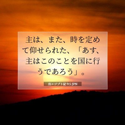 Picture 07 - 出エジプト記 9:5 JPN - 主は、また、時を定めて仰せられた - Bible Verse Picture