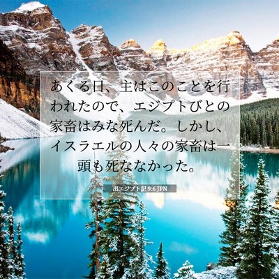 Picture 07 - 出エジプト記 9:6 JPN - あくる日、主はこのことを行われた - Bible Verse Picture