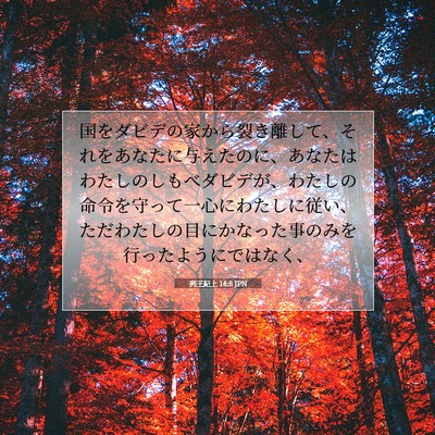 Picture 07 - 列王紀上 14:8 JPN - 国をダビデの家から裂き離して、そ - Bible Verse Picture
