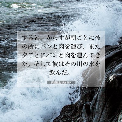 Picture 07 - 列王紀上 17:6 JPN - すると、からすが朝ごとに彼の所に - Bible Verse Picture