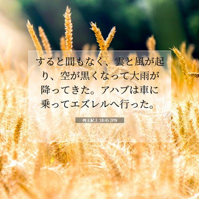 Picture 07 - 列王紀上 18:45 JPN - すると間もなく、雲と風が起り、空 - Bible Verse Picture