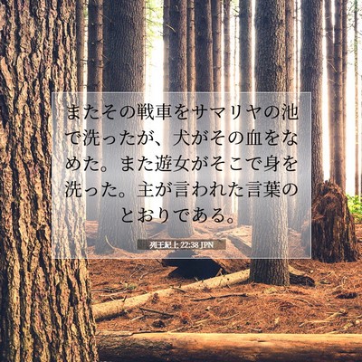 Picture 07 - 列王紀上 22:38 JPN - またその戦車をサマリヤの池で洗っ - Bible Verse Picture