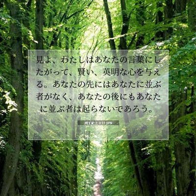 Picture 07 - 列王紀上 3:12 JPN - 見よ、わたしはあなたの言葉にした - Bible Verse Picture