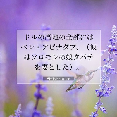 Picture 07 - 列王紀上 4:11 JPN - ドルの高地の全部にはベン・アビナ - Bible Verse Picture