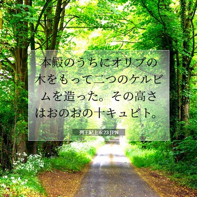 Picture 07 - 列王紀上 6:23 JPN - 本殿のうちにオリブの木をもって二 - Bible Verse Picture