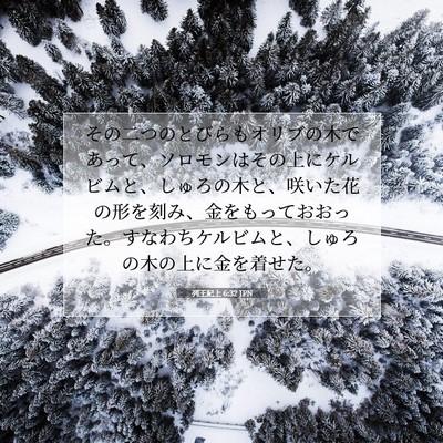 Picture 07 - 列王紀上 6:32 JPN - その二つのとびらもオリブの木であ - Bible Verse Picture