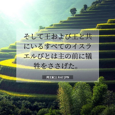 Picture 07 - 列王紀上 8:62 JPN - そして王および王と共にいるすべて - Bible Verse Picture
