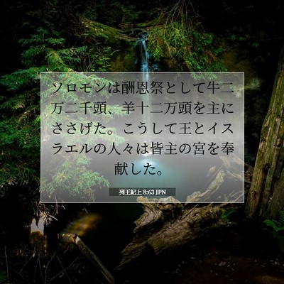 Picture 07 - 列王紀上 8:63 JPN - ソロモンは酬恩祭として牛二万二千 - Bible Verse Picture