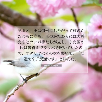 Picture 07 - 列王紀下 11:14 JPN - 見ると、王は慣例にしたがって柱の - Bible Verse Picture