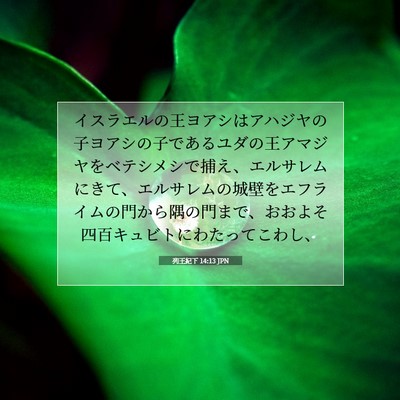 Picture 07 - 列王紀下 14:13 JPN - イスラエルの王ヨアシはアハジヤの - Bible Verse Picture