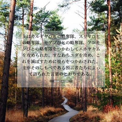 Picture 07 - 列王紀下 24:2 JPN - 主はカルデヤびとの略奪隊、スリヤ - Bible Verse Picture