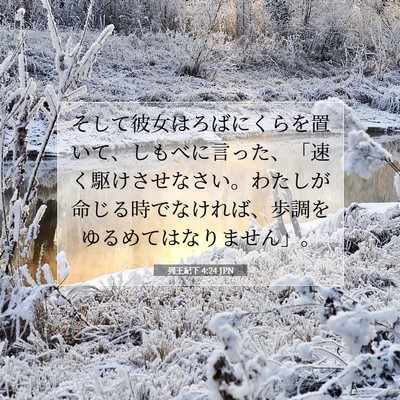 Picture 07 - 列王紀下 4:24 JPN - そして彼女はろばにくらを置いて、 - Bible Verse Picture