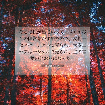 Picture 07 - 列王紀下 7:16 JPN - そこで民が出ていって、スリヤびと - Bible Verse Picture