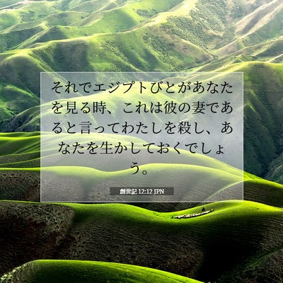 Picture 07 - 創世記 12:12 JPN - それでエジプトびとがあなたを見る - Bible Verse Picture