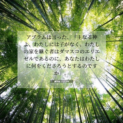 Picture 07 - 創世記 15:2 JPN - アブラムは言った、「主なる神よ、 - Bible Verse Picture