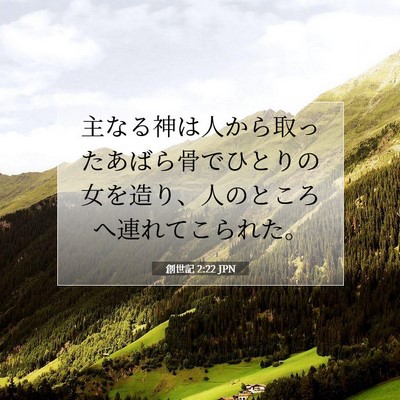Picture 07 - 創世記 2:22 JPN - 主なる神は人から取ったあばら骨で - Bible Verse Picture