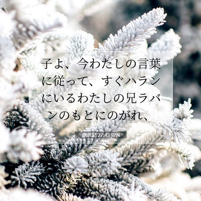 Picture 07 - 創世記 27:43 JPN - 子よ、今わたしの言葉に従って、す - Bible Verse Picture