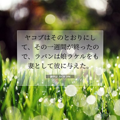 Picture 07 - 創世記 29:28 JPN - ヤコブはそのとおりにして、その一 - Bible Verse Picture