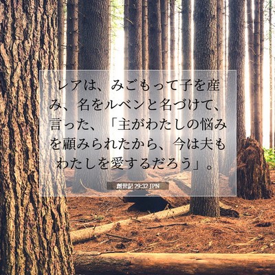 Picture 07 - 創世記 29:32 JPN - レアは、みごもって子を産み、名を - Bible Verse Picture