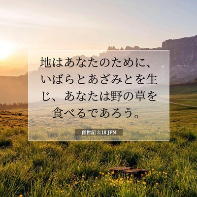 Picture 07 - 創世記 3:18 JPN - 地はあなたのために、いばらとあざ - Bible Verse Picture