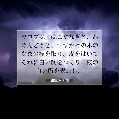 Picture 07 - 創世記 30:37 JPN - ヤコブは、はこやなぎと、あめんど - Bible Verse Picture