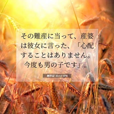 Picture 07 - 創世記 35:17 JPN - その難産に当って、産婆は彼女に言 - Bible Verse Picture