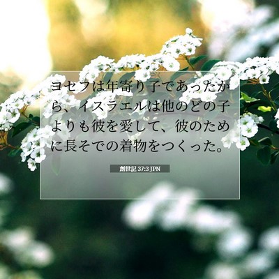 Picture 07 - 創世記 37:3 JPN - ヨセフは年寄り子であったから、イ - Bible Verse Picture