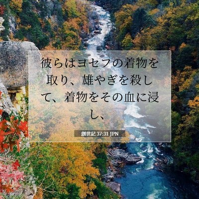 Picture 07 - 創世記 37:31 JPN - 彼らはヨセフの着物を取り、雄やぎ - Bible Verse Picture