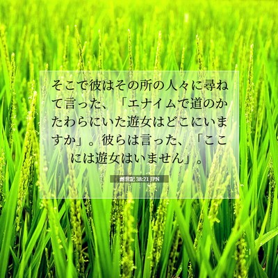 Picture 07 - 創世記 38:21 JPN - そこで彼はその所の人々に尋ねて言 - Bible Verse Picture