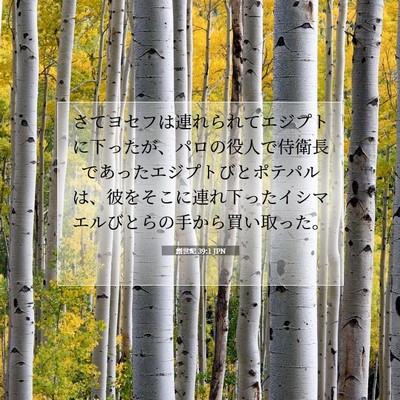Picture 07 - 創世記 39:1 JPN - さてヨセフは連れられてエジプトに - Bible Verse Picture
