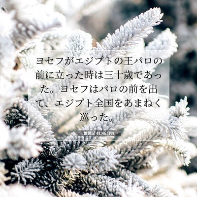 Picture 07 - 創世記 41:46 JPN - ヨセフがエジプトの王パロの前に立 - Bible Verse Picture