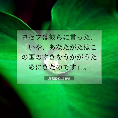 Picture 07 - 創世記 42:12 JPN - ヨセフは彼らに言った、「いや、あ - Bible Verse Picture