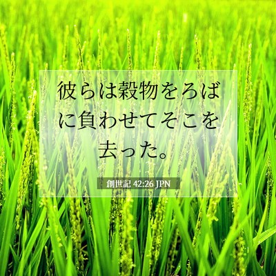 Picture 07 - 創世記 42:26 JPN - 彼らは穀物をろばに負わせてそこを - Bible Verse Picture