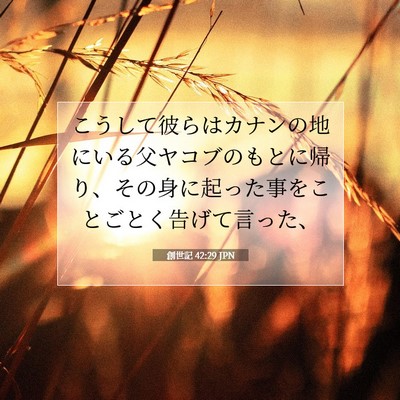 Picture 07 - 創世記 42:29 JPN - こうして彼らはカナンの地にいる父 - Bible Verse Picture