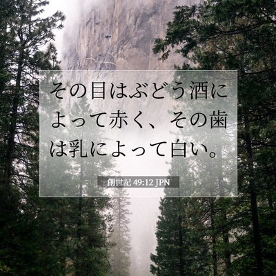 Picture 07 - 創世記 49:12 JPN - その目はぶどう酒によって赤く、そ - Bible Verse Picture