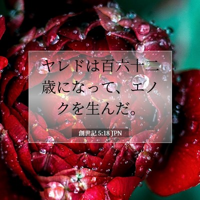Picture 07 - 創世記 5:18 JPN - ヤレドは百六十二歳になって、エノ - Bible Verse Picture