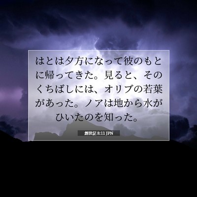 Picture 07 - 創世記 8:11 JPN - はとは夕方になって彼のもとに帰っ - Bible Verse Picture