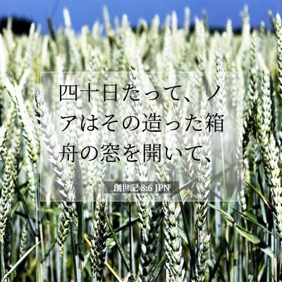 Picture 07 - 創世記 8:6 JPN - 四十日たって、ノアはその造った箱 - Bible Verse Picture