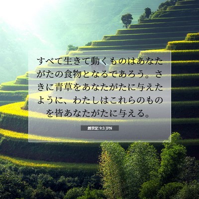 Picture 07 - 創世記 9:3 JPN - すべて生きて動くものはあなたがた - Bible Verse Picture