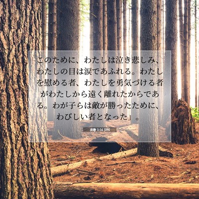 Picture 07 - 哀歌 1:16 JPN - このために、わたしは泣き悲しみ、 - Bible Verse Picture