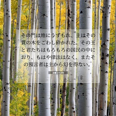 Picture 07 - 哀歌 2:9 JPN - その門は地にうずもれ、主はその貫 - Bible Verse Picture