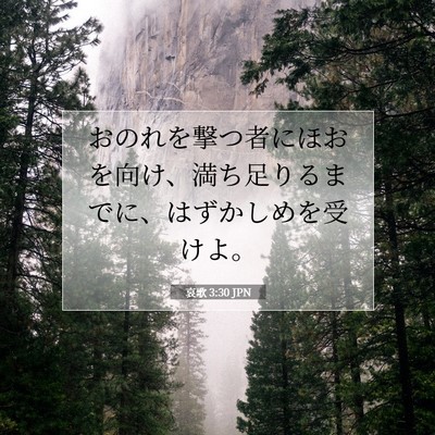 Picture 07 - 哀歌 3:30 JPN - おのれを撃つ者にほおを向け、満ち - Bible Verse Picture