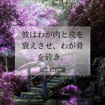 Picture 07 - 哀歌 3:4 JPN - 彼はわが肉と皮を衰えさせ、わが骨 - Bible Verse Picture